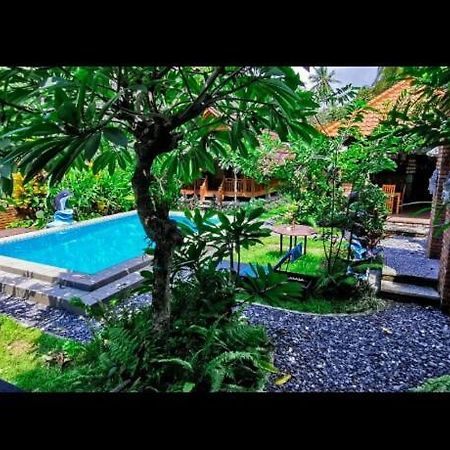 Halumba Eco Villa Bali Tejakula Buitenkant foto