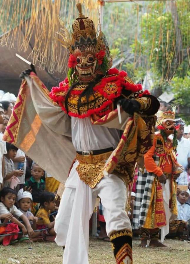 Halumba Eco Villa Bali Tejakula Buitenkant foto