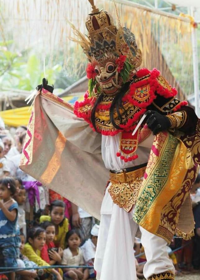 Halumba Eco Villa Bali Tejakula Buitenkant foto